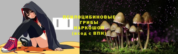 дживик Арсеньев