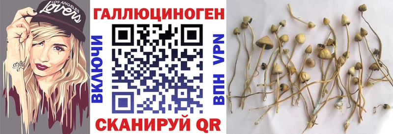 Галлюциногенные грибы Magic Shrooms Трёхгорный